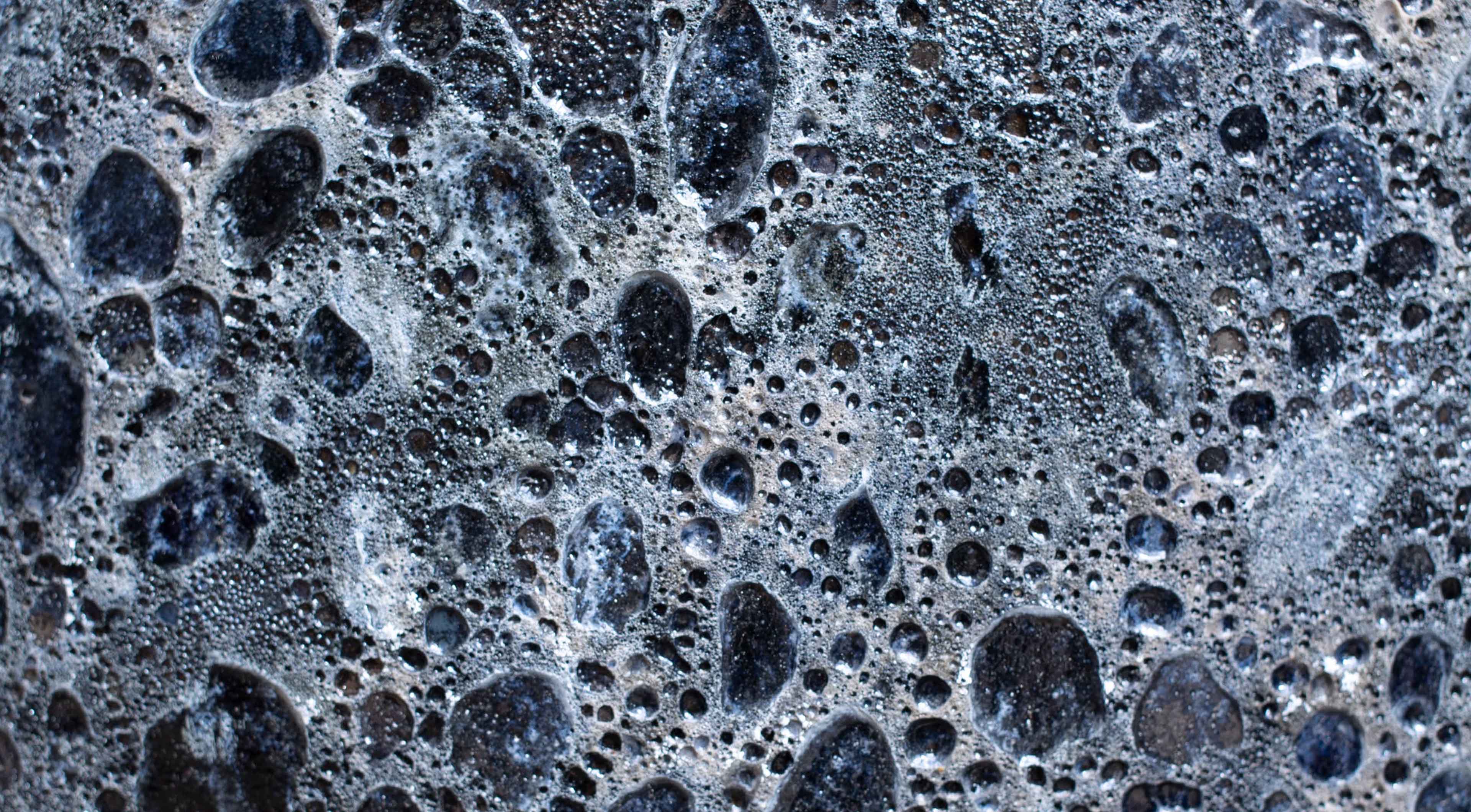 Lichen spreading across bark